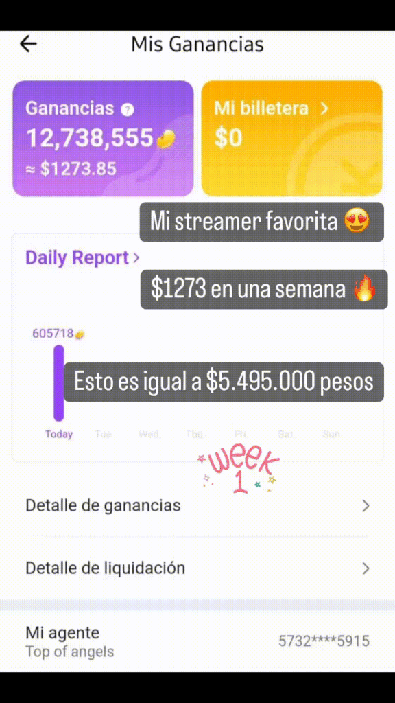 TVA ganancias Chamet App